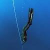 Freediving